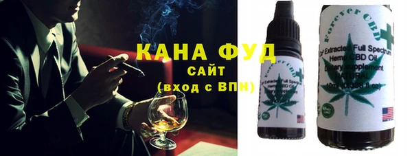 дмт Гусев