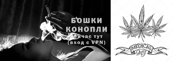 марки lsd Гусиноозёрск