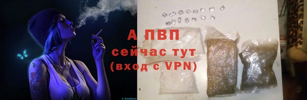 марки lsd Гусиноозёрск