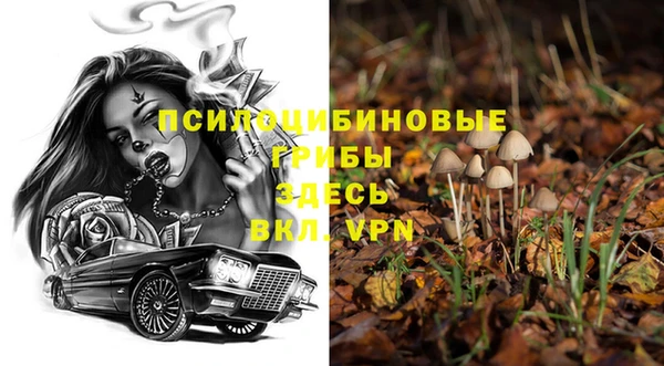 марки lsd Гусиноозёрск