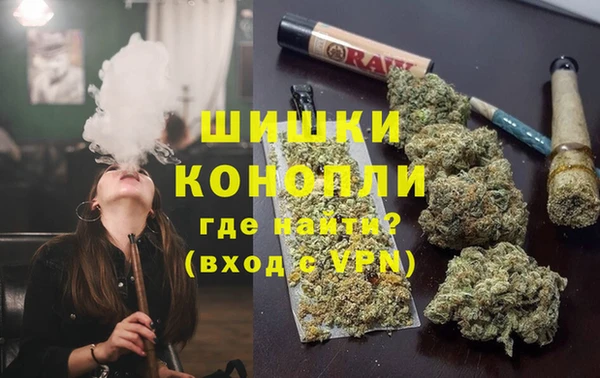 дмт Гусев