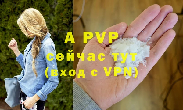 дмт Гусев