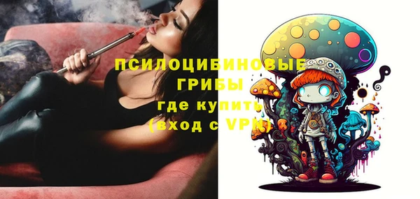 марки lsd Гусиноозёрск