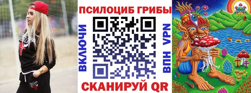 mega ONION  где купить   Вологда  Галлюциногенные грибы мицелий 